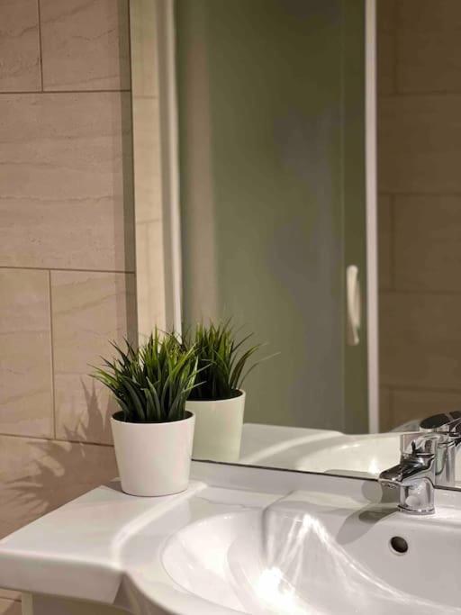 Cosy Apartment Antwerpen Center2 المظهر الخارجي الصورة